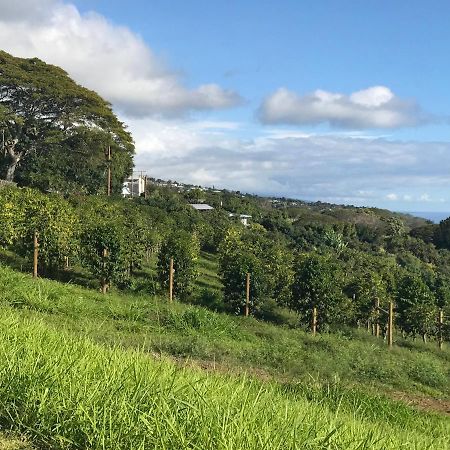 Nohokai At Kona Joe Coffee Farm Hotel Kealakekua Luaran gambar