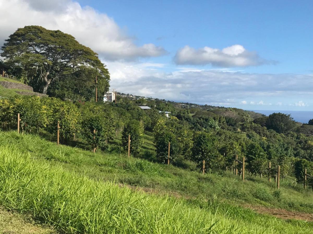 Nohokai At Kona Joe Coffee Farm Hotel Kealakekua Luaran gambar