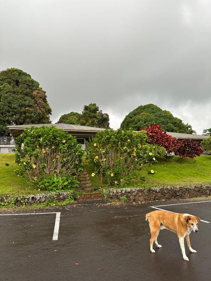 Nohokai At Kona Joe Coffee Farm Hotel Kealakekua Luaran gambar